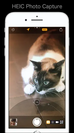 The Simple Camera screenshot 2