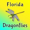 Florida Dragonflies icon