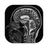 DICOM Viewer Pro icon