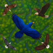 Flying Bird Simulator Game