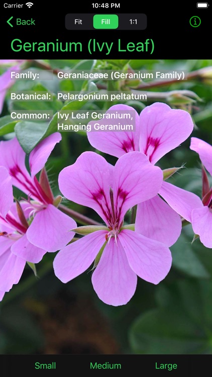 Flower Ref screenshot-5