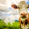 Get Cow Sounds App for iOS, iPhone, iPad Aso Report