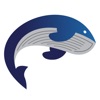 Whales College icon