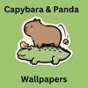 Capybara & Panda Cute Pictures icon