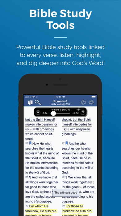 Blue Letter Bible Screenshot