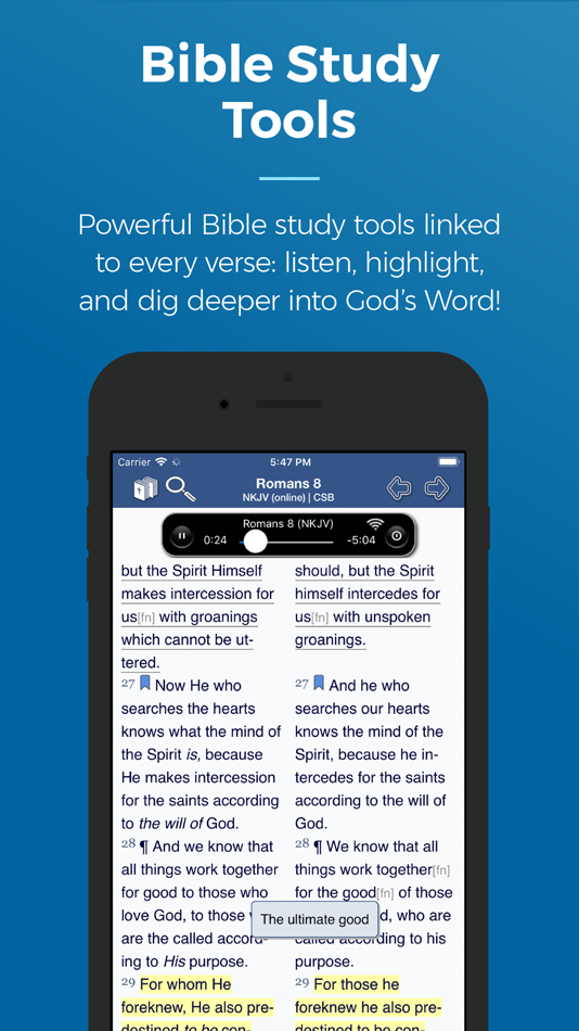 Blue Letter Bible - 2.80.3 - (iOS)