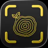 Wood Scanner AI ◦ TimberScan - App-Symbol