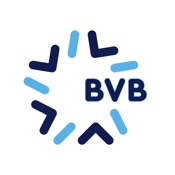 Investimental BVB