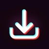 TikSaver icon