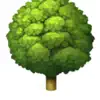 Focus Garden Focus Timer icon