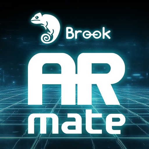 BrookARMate