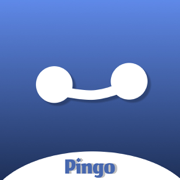 Pingo - Live