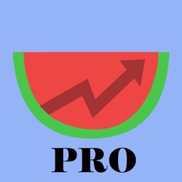 DataMelonPRO: Stock Analysis