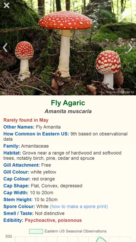 Shroomify - Mushroom ID USA screenshot 7 of 7