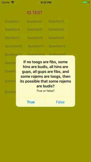 IQ Challenge Book screenshot 2