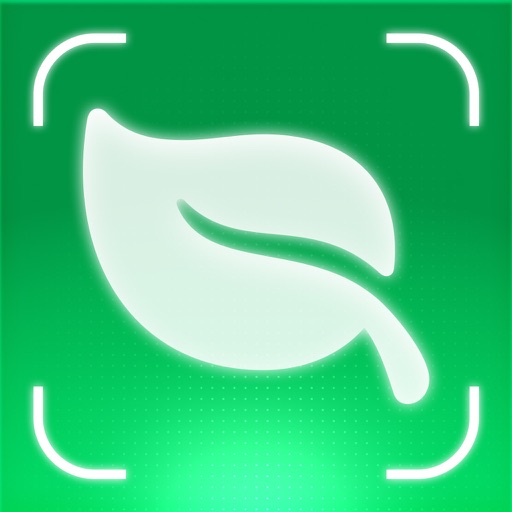 Plant Identifier AI: BotanIQ