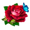 WishOK: Love message, stickers icon