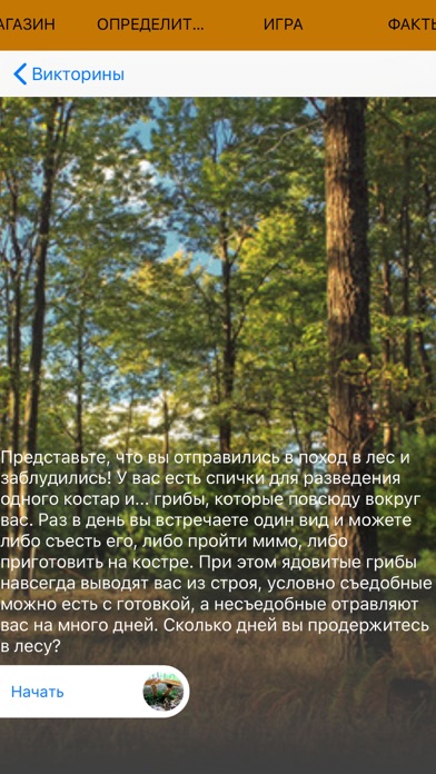 Mushrooms - Photo Identifier Screenshot