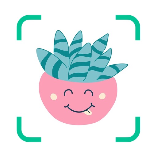 Идентификация растений и уход