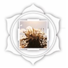 Snímky obrazovky (10) Buddha Dharma Paths