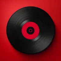Vinyl Spin