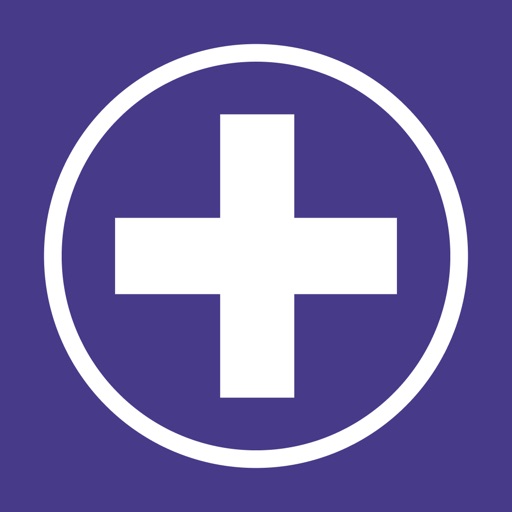 Palliation i praksis