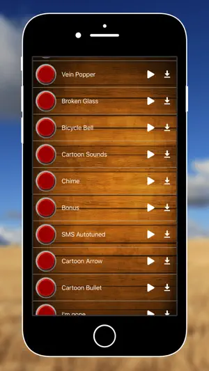 Funny SMS Ringtones screenshot 1