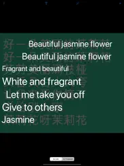 translate ai - ar translator ipad images 2