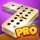 Dominoes Pro Offline or Online
