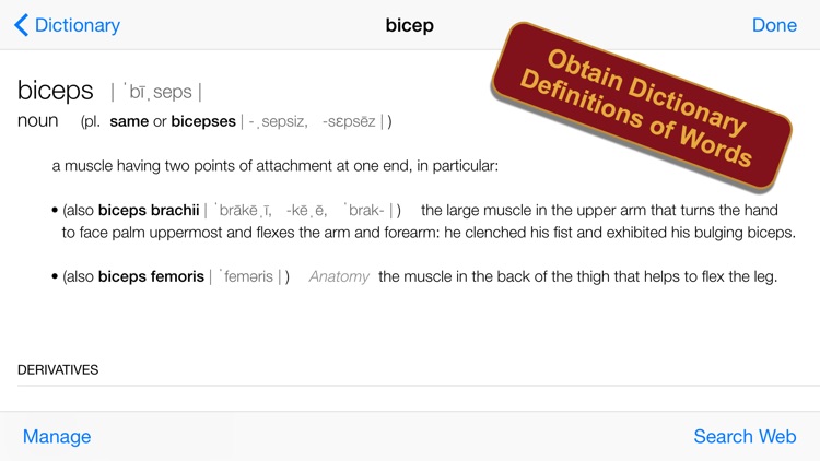 Slide A Word screenshot-4