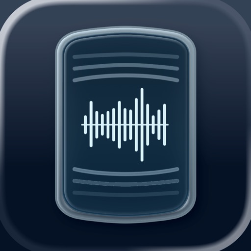 Voice to Text Pro - Transcribe
