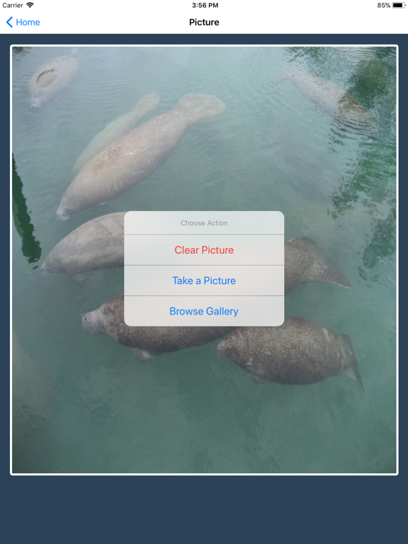 Screenshot #5 pour I Spy a Manatee