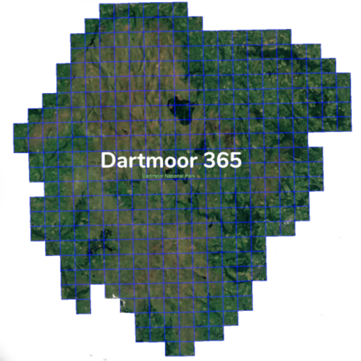 Dartmoor 365