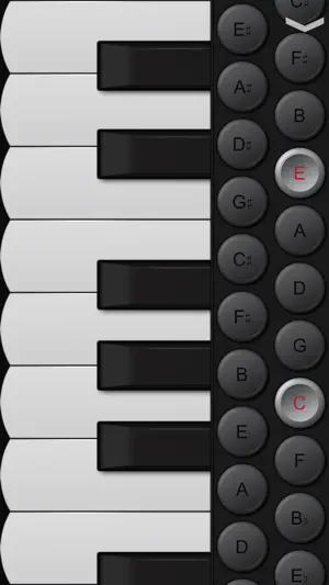 Piano Accordion screenshot 1