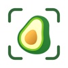 Chew AI: Easy Calorie Tracker icon