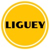 Liguey icon