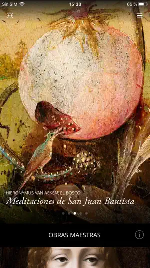 SC Museo Lazaro Galdiano screenshot 1