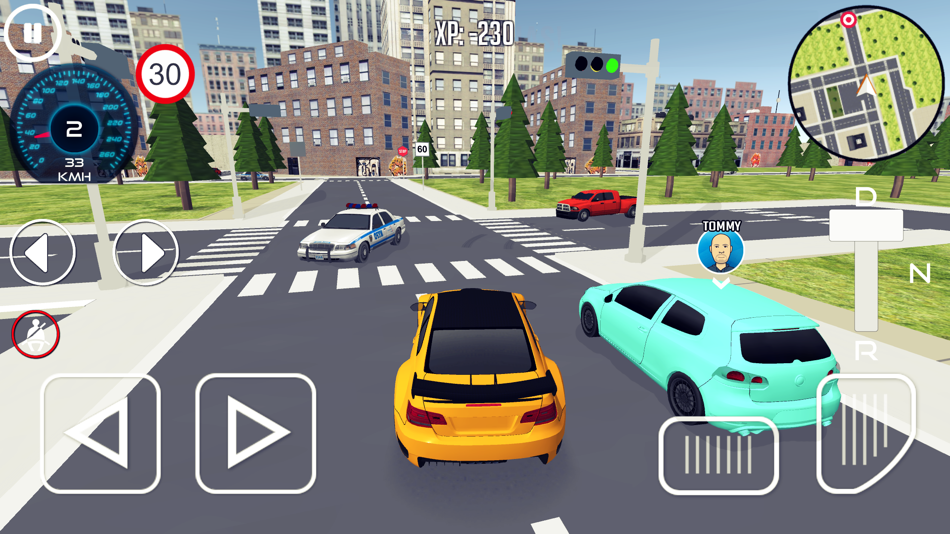 #6. Driving School Simulator 3D (iOS) 来自: nullapp
