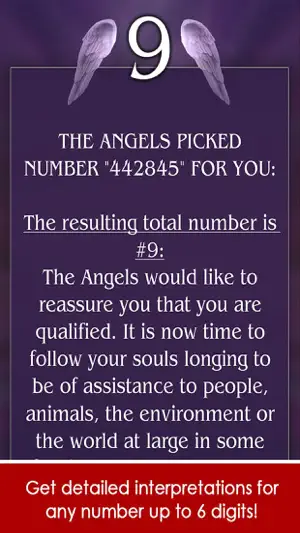 Angel Number Signs screenshot 4