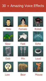 video voice changer pro айфон картинки 2