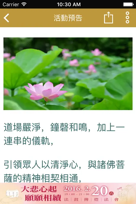 安和分院