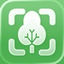 Get Tree Identifier ° Tree Id for iOS, iPhone, iPad Aso Report