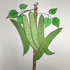Kidney Bean Guess Quantity icon