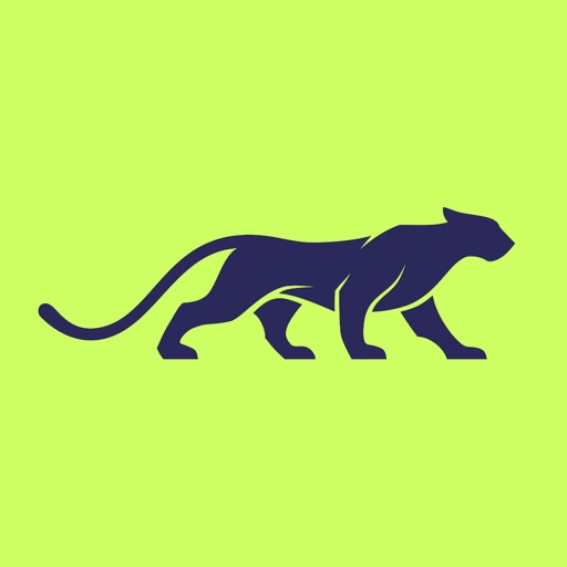 Провокация