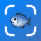 Fish Verify ° - Icona app