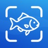 Fish Identifier - Finder icon