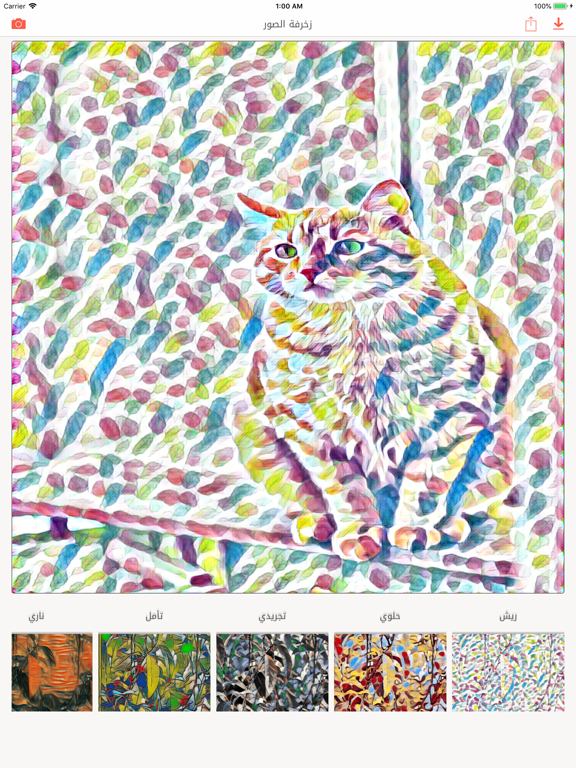 تطبيق زخرفة الصور الاحترافي iPad screenshot 3 - Photo & Video app