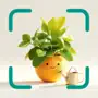 AI Plant Identifier - Plantz