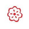 Pałuki icon