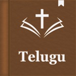Download Telugu Holy Bible Audio app